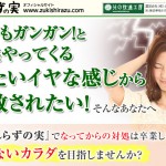 ずきしらずの実